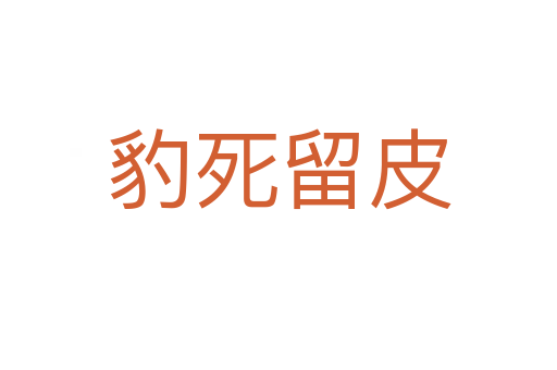 豹   留皮