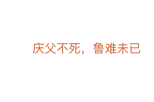 庆父不   ,鲁难未已