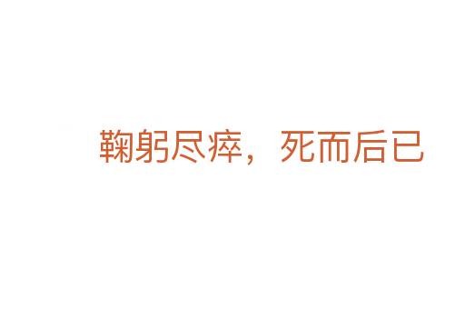 鞠躬尽瘁, 而后已